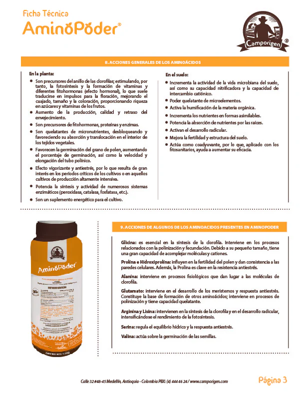 Imagen del producto 7