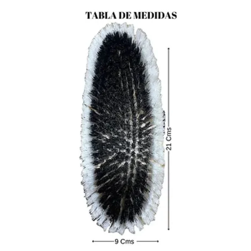 Imagen del producto 2