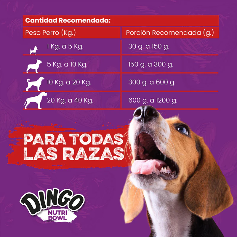 Imagen del producto 11