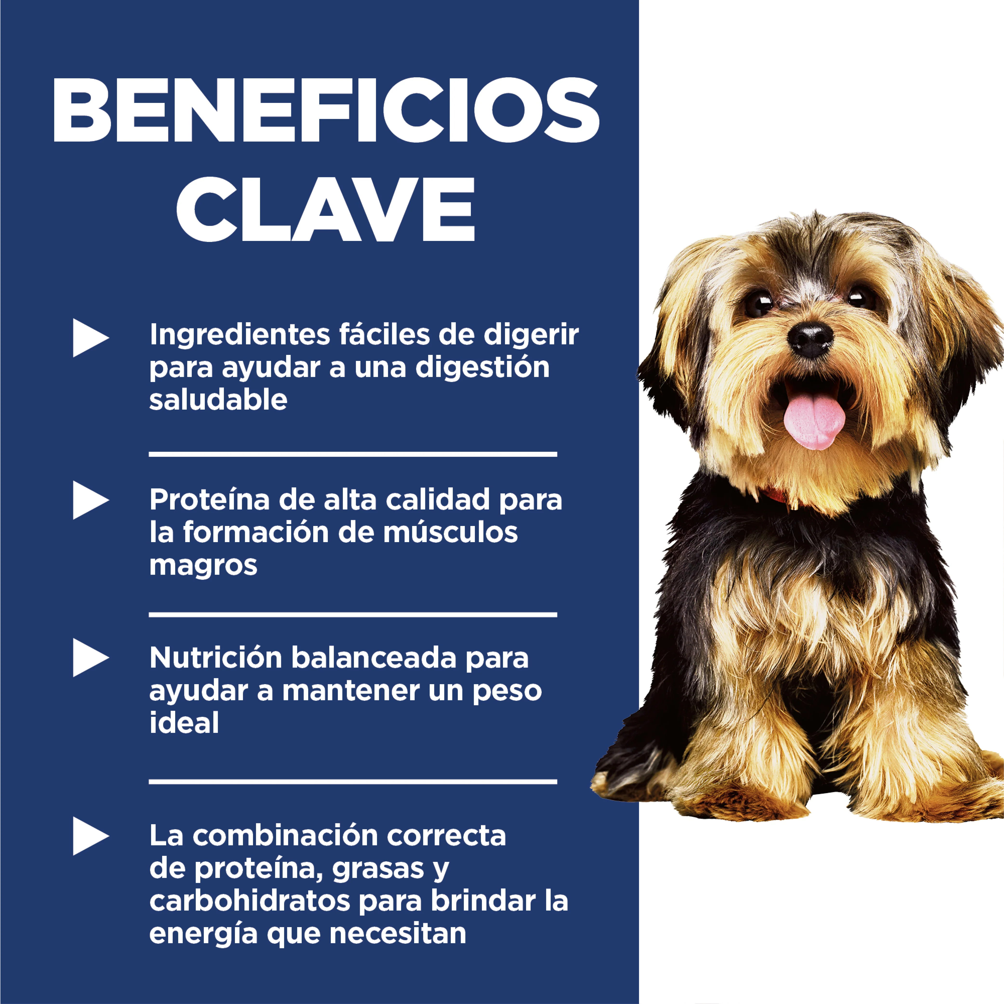 Imagen del producto 7