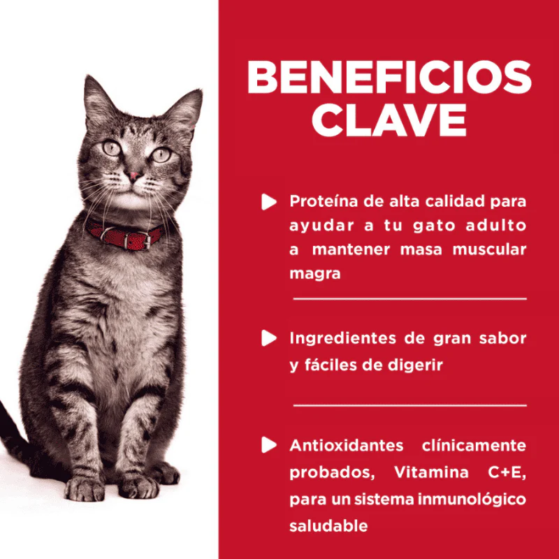 Imagen del producto 2