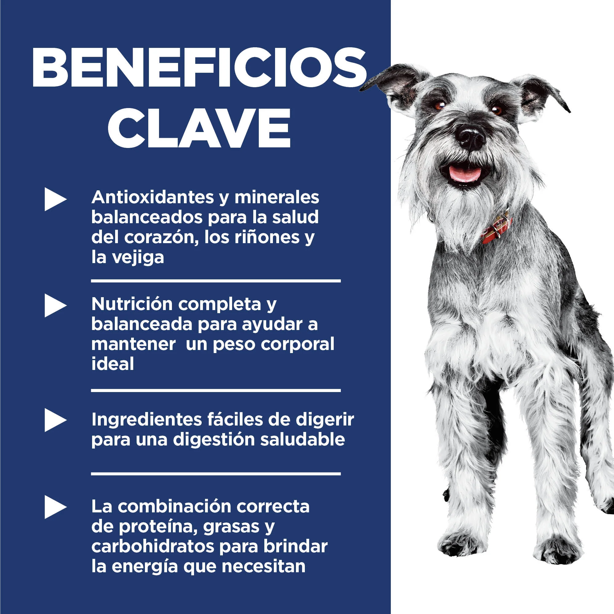 Imagen del producto 7