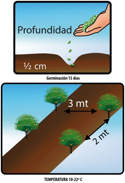 Imagen del producto 2
