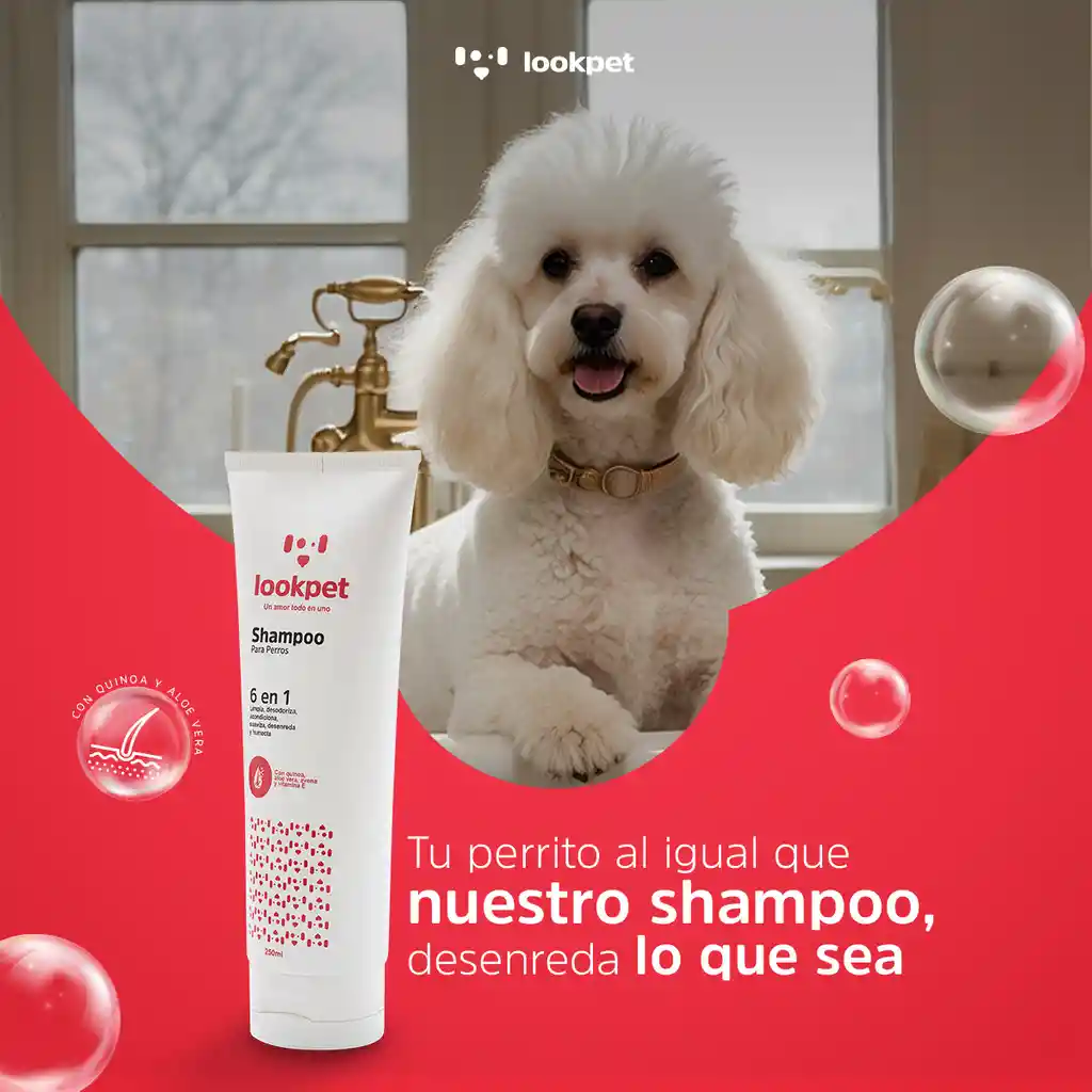 Imagen del producto 3